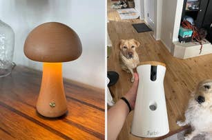 Left: Wooden mushroom-shaped table lamp on wooden surface. Right: Eufy RoboVac with opened dustbin showing collected dirt