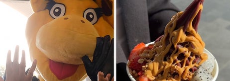 Image split: Left side, a mascot in a costume greeting a crowd with raised hands. Right side, a hand holding a yogurt cup with fruit, granola, and a swirl of frozen yogurt