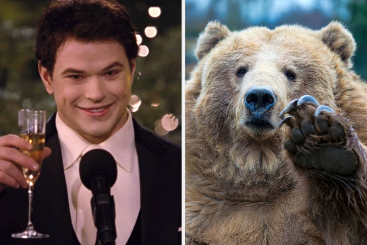 Kellan Lutz dressed in a suit, holding a champagne flute and smiling on the left; a close-up of a bear raising its paw on the right
